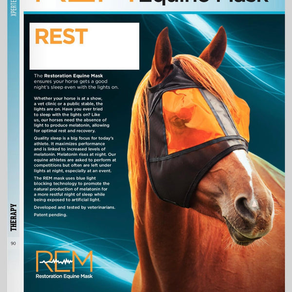 Restoration Equine Mask