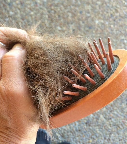 Epona Love Curry Wood Brush Full
