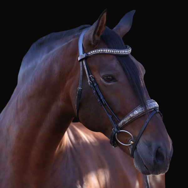 Baroque Black Snaffle Bridle with Light Brown Padding