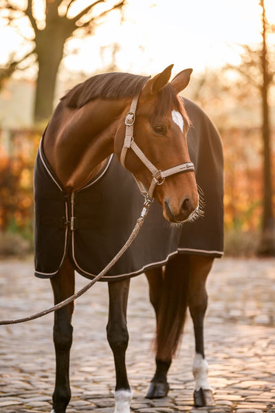 Cavallo Halter CAVALROSE