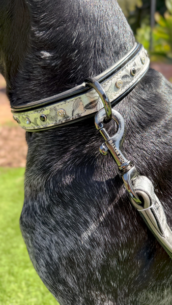 Venetian Leather Dog Collar