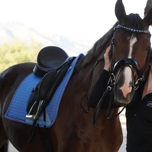 European Cotton Dressage Saddle Pad - Sky Blue