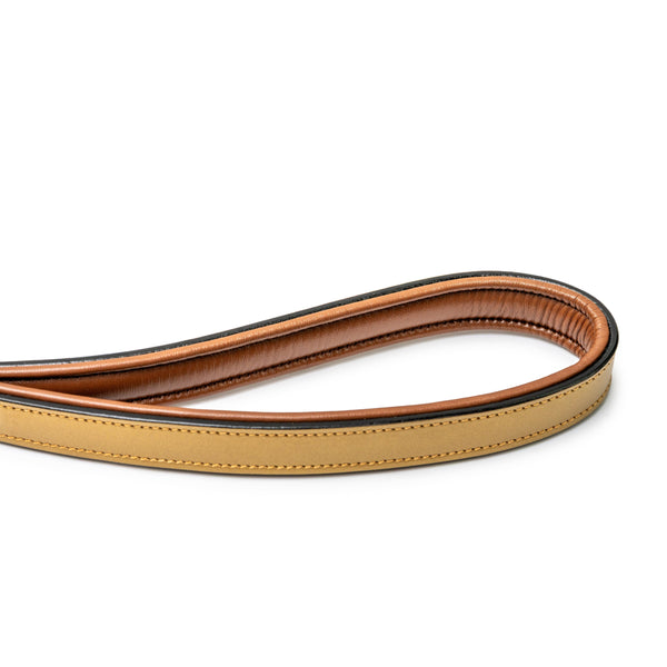 Gilded Solstice Leather Dog Leash