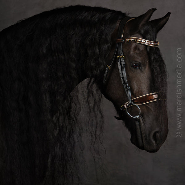 The Champagne Black Leather Snaffle Bridle