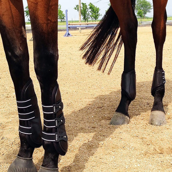 Boyd Martin Leather Tendon Boot with Removable Impact Liner