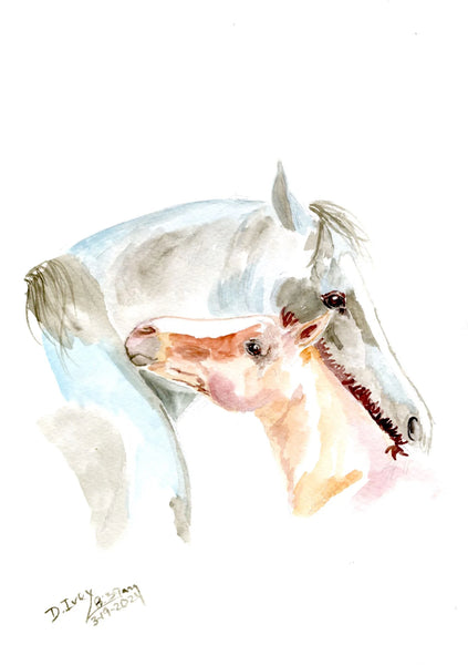 Sona Equestrian Greeting Cards