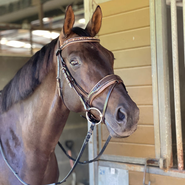 The Sun King Brown Patent Leather Snaffle Bridle