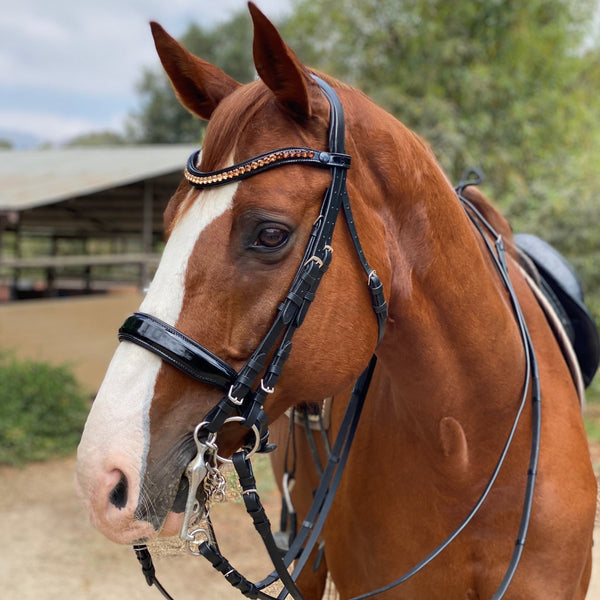 Halter Ego® Crystal Patent Browband - Caramel Honey