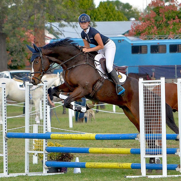 Infinity Fetlock Boots with ARTi-LAGE Technology  (FEI Young Horse Compliant)