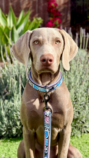 The Blossom Leather Dog Leash