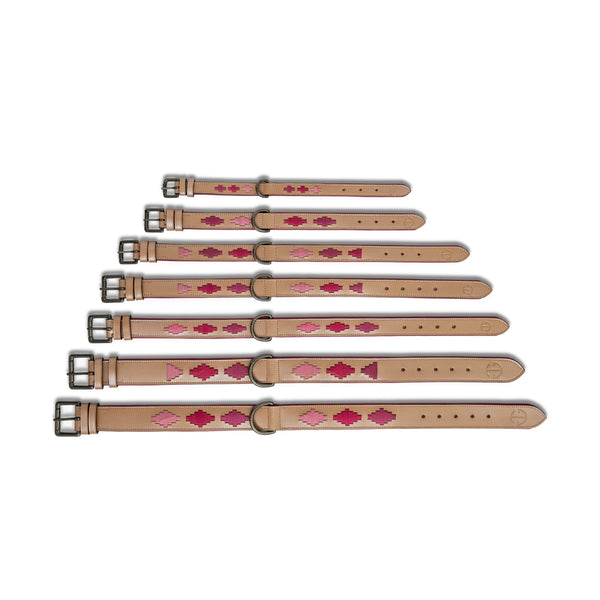 Rosé Lumière Leather Dog Collar