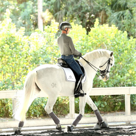 European Cotton Dressage Saddle Pad - White & Black Twist Trim