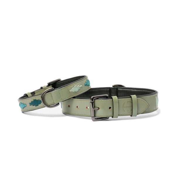 Sea Glass Leather Dog Collar