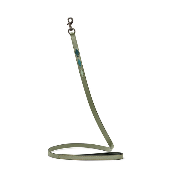Sea Glass Leather Dog Leash