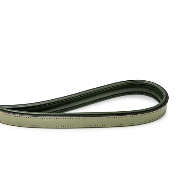 Sea Glass Leather Dog Leash