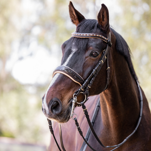 Limited Edition Lisbon - Brown Patent Sparkle Double Bridle