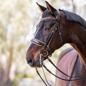 Limited Edition Lisbon - Brown Patent Sparkle Double Bridle