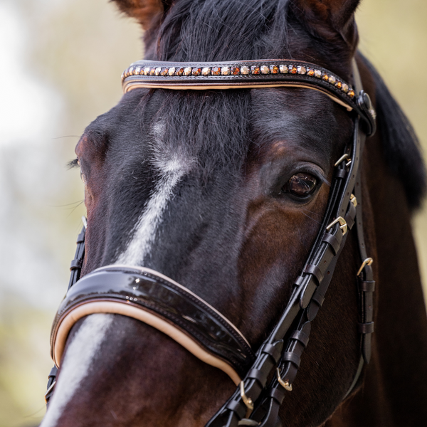 Limited Edition Lisbon - Brown Patent Sparkle Double Bridle