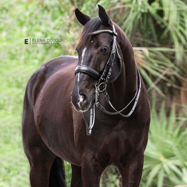 Brixton Non-Patent Black Leather Double Bridle - UPDATED DESIGN