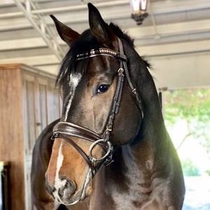 Halter Ego Holiday Gold Brown Snaffle Bridle